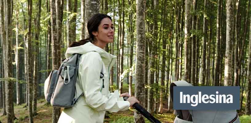Inglesina Adventure Bag